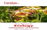 Ecology and Utilization of Plants