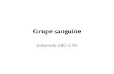 CURS 8 Grupe Sanguine