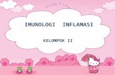 Imunologi Inflamasi
