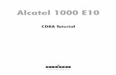 1000 E10 CDRA Tutorial