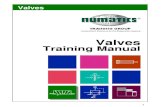 Numatics Valve Training