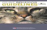 Cats - Feline Behavior Guidelines