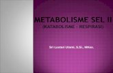 Presentasi Kuliah III Metabolisme Sel II Respirasi