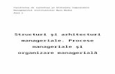 Structuri Si Arhitecturi Manageriale36