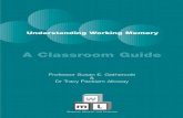 WM Classroom Guide