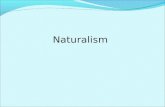 32595072 Naturalism