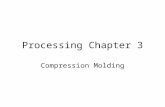 Processing Chapter 3 Compression Molding