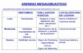 Anemia Megaloblastica 3b