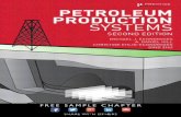 Economides Petroleum Productions System II
