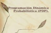 59627294 Programacion Dinamica Probabilistica PDP