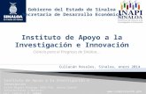 Instituto de Apoyo a la Investigación e Innovación (Inapi) 2014