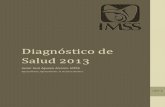 Diagnóstico de Salud 2013