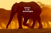 Safari a La Estrategia - Mintzberg