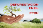 Presentacion de La Deforestacion