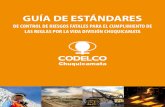 Estandares Codelco Chuquicamata