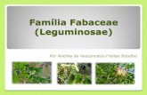 Família Fabaceae (Leguminosae) - Aula 4