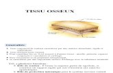 TISSU OSSEUX (1)