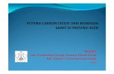 13_Mahidin-Potensi Carbon Credit