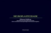 Neuroplasticidade Fj