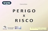 Conceito Risco X Perigo - Neli Pieres Magnanelli (DVST).PDF