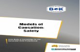 32 Models of Causation Safety