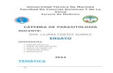 Ensayo de Parasitologia, Trypanosoma Cruzi