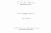 What is Corporate Law - Hansmann & Kraakman