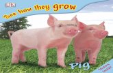 DK.see.How.they.Grow.pig p30download.com