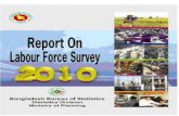 LFS Report 2010