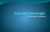 Curs Neurologie 1