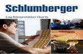 166487649 Schlumberger Log Interpretation Charts