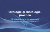Citologia cervico-vaginală