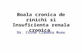 Insuficienta Renala Cronica 2012