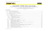 SAP CRM Monitoring Guide