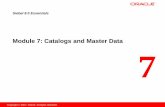 07 Catalogs and Master Data