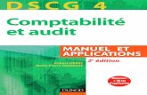 gs669-DSCG 4 Comptabilité et audit - Manuel et Applications