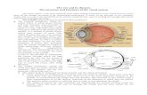 The Eye and Its Diseases