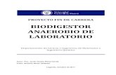 PFC Biodigestor Anaerobio de Laboratorio Javier Ocana (1)
