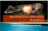 Metabolisme Mikrobia Rumen 1.ppt