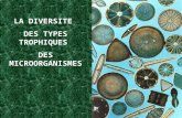 La diversité des types trophiques des microorg