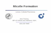 Micelle Formation.pdf