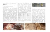 05 Low Temperature Corrosion in Cement Plants Christian Suchak Volker Hoenig Manuscript