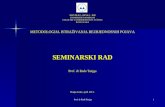 Seminarski rad 2012-2013.ppt