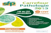 Carrefour Pathologie 2013 :Programme