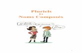 30242512 Langue Francaise Pluriels Et Noms Composes