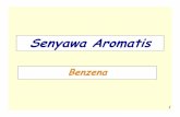 4. BENZENA Electrophilic Aromatic Subst_2012