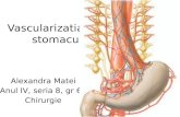 Vascularizatia stomacului