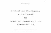 Initiation Runique, Druidique Et Shamanisme Elfique (Manuel 3)