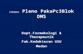 17032012 Pleno PakaPc3Blok DMS