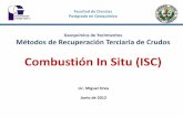 103708894 Combustion in Situ
